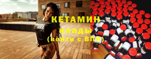 сатива Аркадак