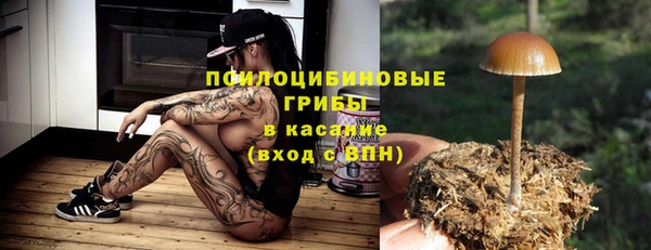 mix Армянск