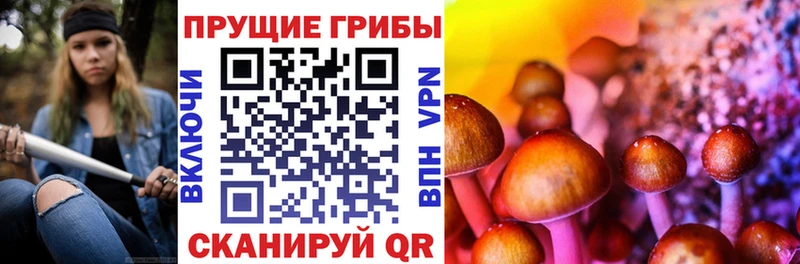 Псилоцибиновые грибы ЛСД  Менделеевск 
